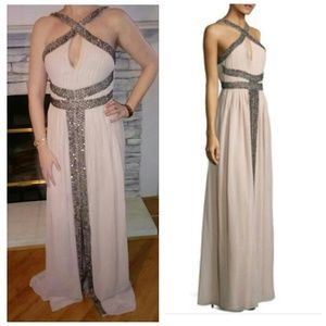Parker Blush Beaded Gown New